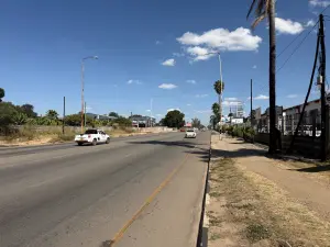 Commercial Stand for Sale