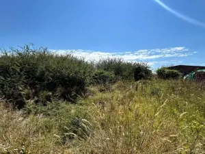 Residential Stand for Sale
