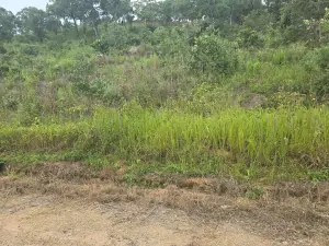 Farm/Plot for Sale in Bindura
