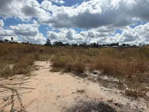 Commercial Stand for Sale in Greendale