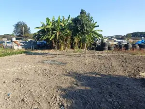Commercial Stand for Sale in Waterfalls