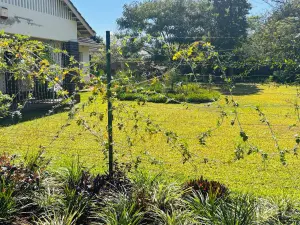 2 Bedroom House to Rent in Eastlea