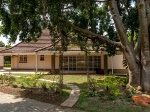 House to Rent in Mount Pleasant