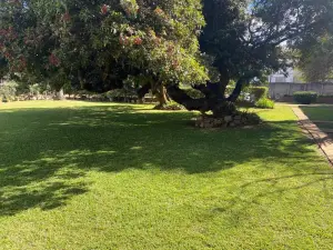 Flat/Apartment to Rent in Avondale