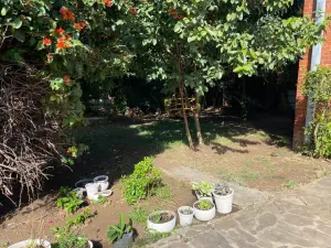 Flat/Apartment to Rent in Avondale