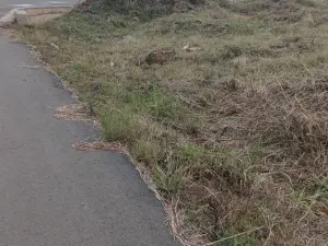 Residential Stand for Sale in Pomona