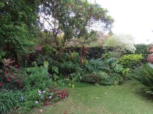 2 Bedroom Cottage/Garden Flat to Rent in Avondale