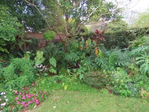 2 Bedroom Cottage/Garden Flat to Rent in Avondale