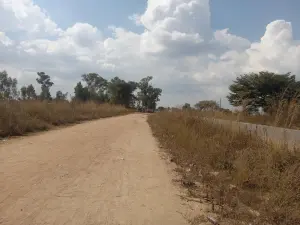 Farm/Plot for Sale in Rainham