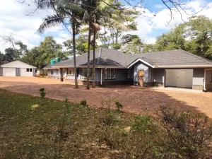 Office to Rent in Helensvale