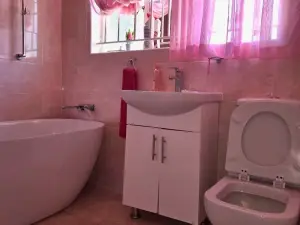 4 Bedroom House to Rent in Alexandra Park