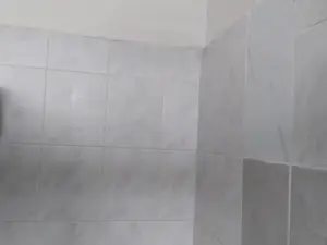 Flat/Apartment to Rent in Avondale