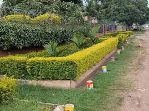 Flat/Apartment to Rent in Avondale