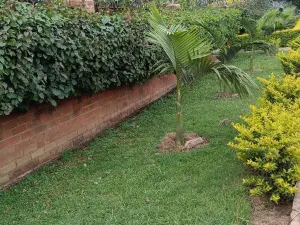 Flat/Apartment to Rent in Avondale