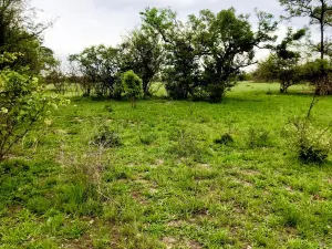 Other Commercial for Sale