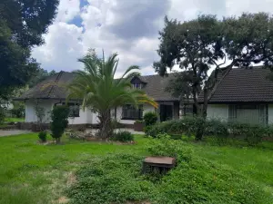 House to Rent