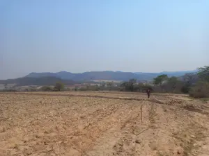 Farm for Sale