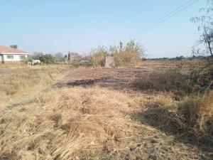 Residential Stand for Sale