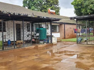 4 Bedroom House to Rent in Ridgeview