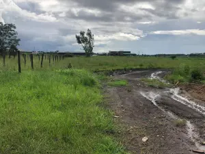 Commercial Stand to Rent in Pomona