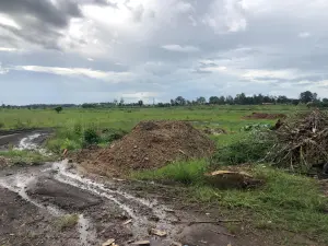 Commercial Stand to Rent in Pomona