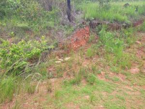 Residential Stand for Sale