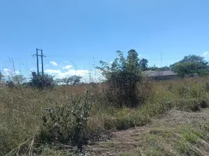 Stand for Sale