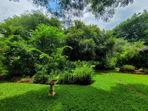 3 Bedroom House to Rent in Marlborough