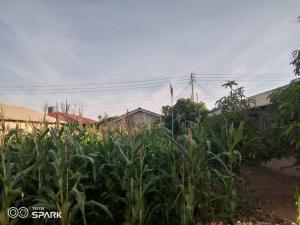 Residential Stand for Sale