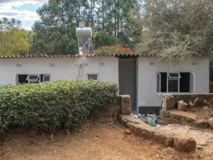 3 Bedroom House to Rent in Greystone Park