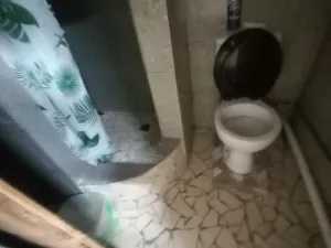 Room to Rent