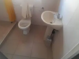 Room to Rent