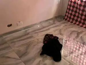 Room to Rent