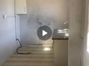 Room to Rent