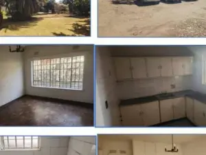 Room to Rent