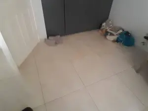 Room to Rent