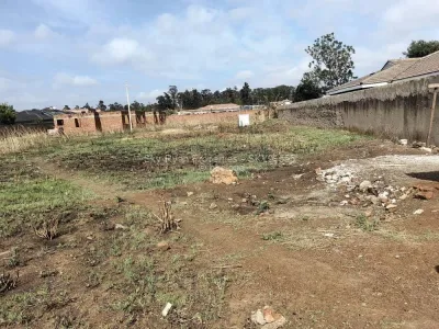Stand for Sale in Fairview