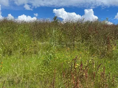 Land for Sale in Greystone Park