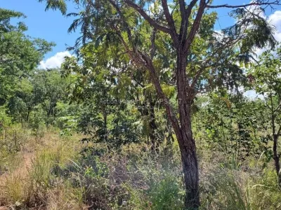 Stand for Sale in Darwendale