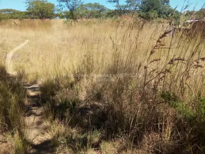 Stand for Sale in Nyabira