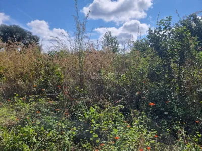 Land for Sale in Helensvale