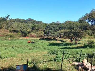 Farm for Sale in Glen Forest