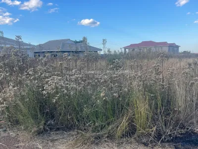 Stand for Sale in Fairview
