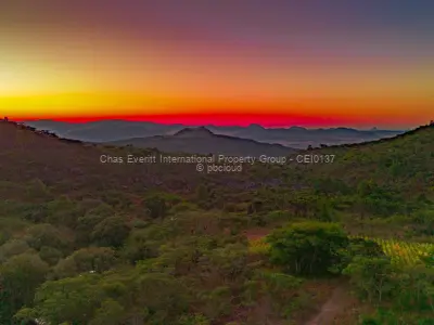 Land for Sale in Juliasdale