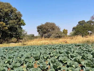 Farm for Sale in Goromonzi