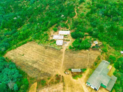 Stand for Sale in Juliasdale