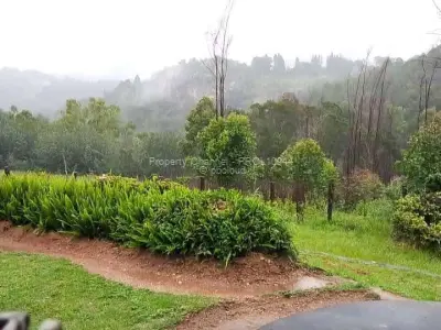 Land for Sale in Juliasdale