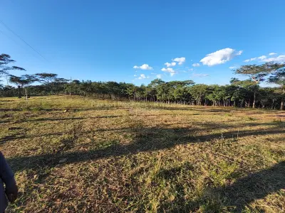 Land for Sale in Christon Bank