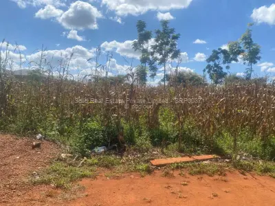 Land for Sale in Glen Lorne