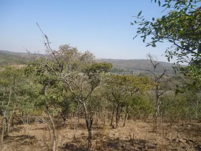 Land for Sale in Christon Bank